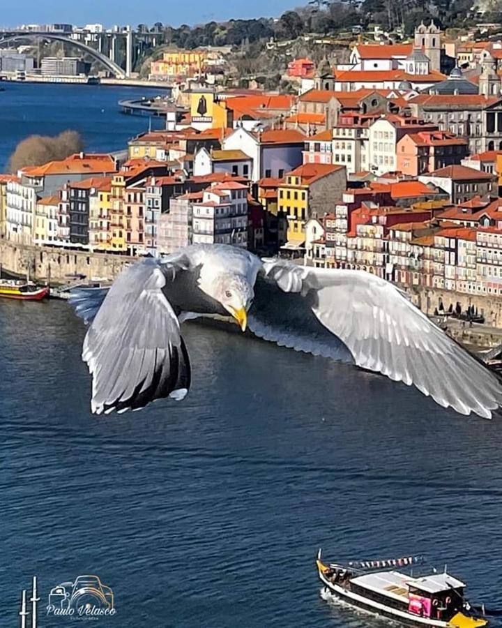 Villa Casa MIRA DOURO Vila Nova de Gaia Exterior foto